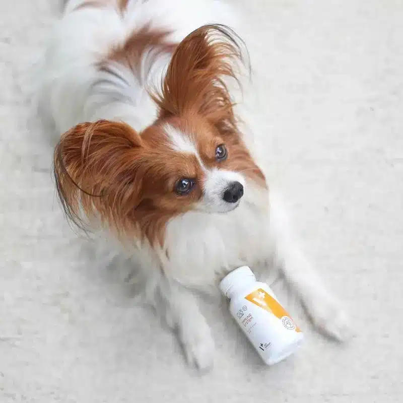 Vet Expert Immune System – снимка 2
