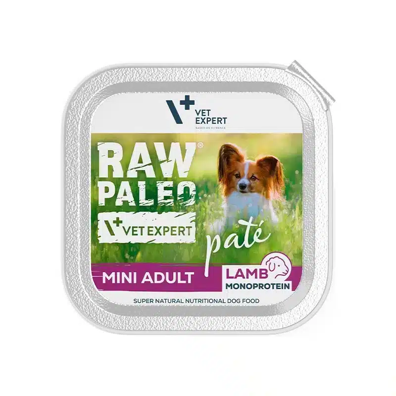 Raw Paleo Pate Mini Adult Lamb – пастет